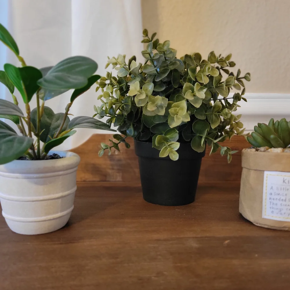 Artificial Eucalyptus Plant in Green Pot - Home Accents - Picture 5 of 5